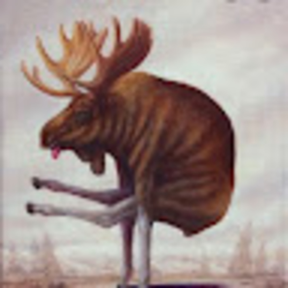 Meet your Posher, Brooke